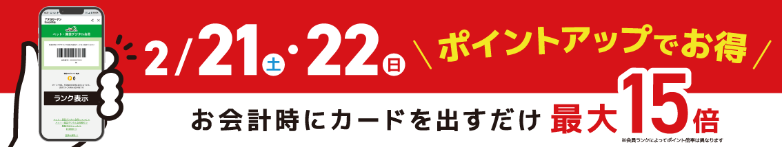 ポイントアップでお得